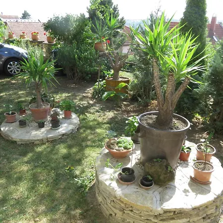 Kovirag * ヘーヴィーズ