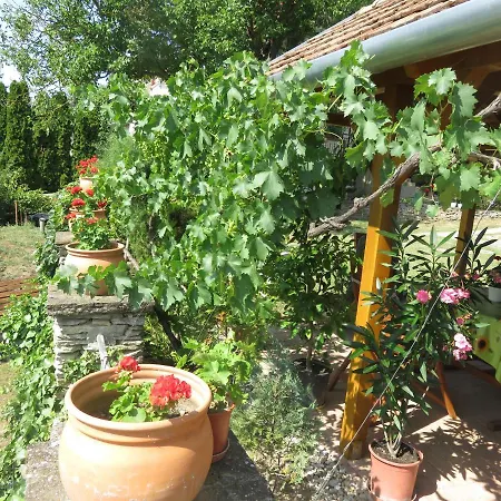 Kővirág *