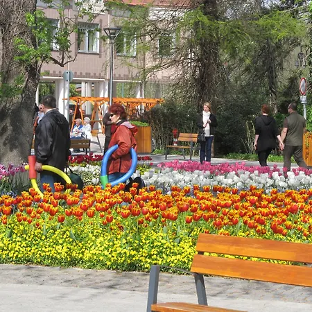 Apartment Kovirag