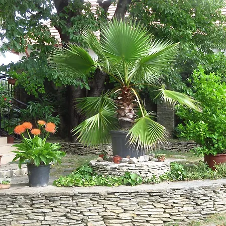 Kovirag Apartment