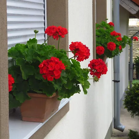 Kovirag Appartement *
