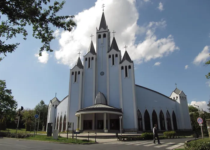 Kovirag