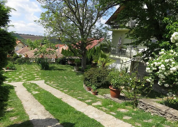 Kovirag *